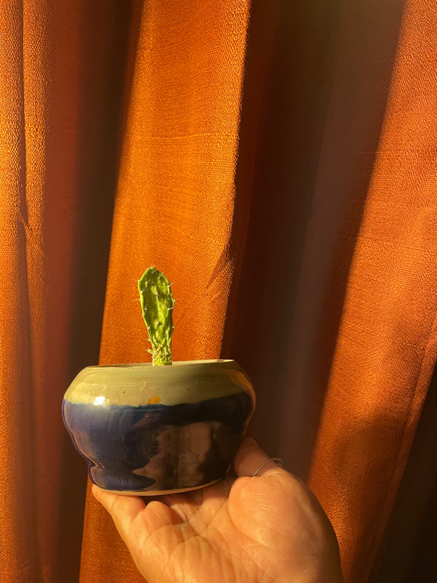 Just a lil pot